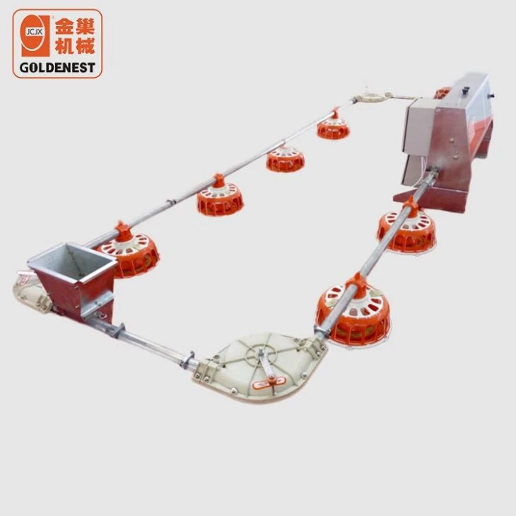 Chicken Farming Equipment Male Breeder Feeding Line