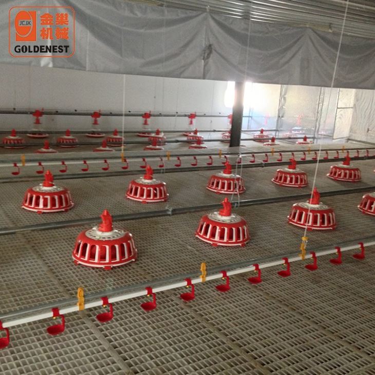 Chicken Farming Equipment Male Breeder Feeding Line