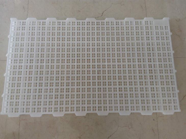 Poultry Plastic Slats With Beam And Support Legs