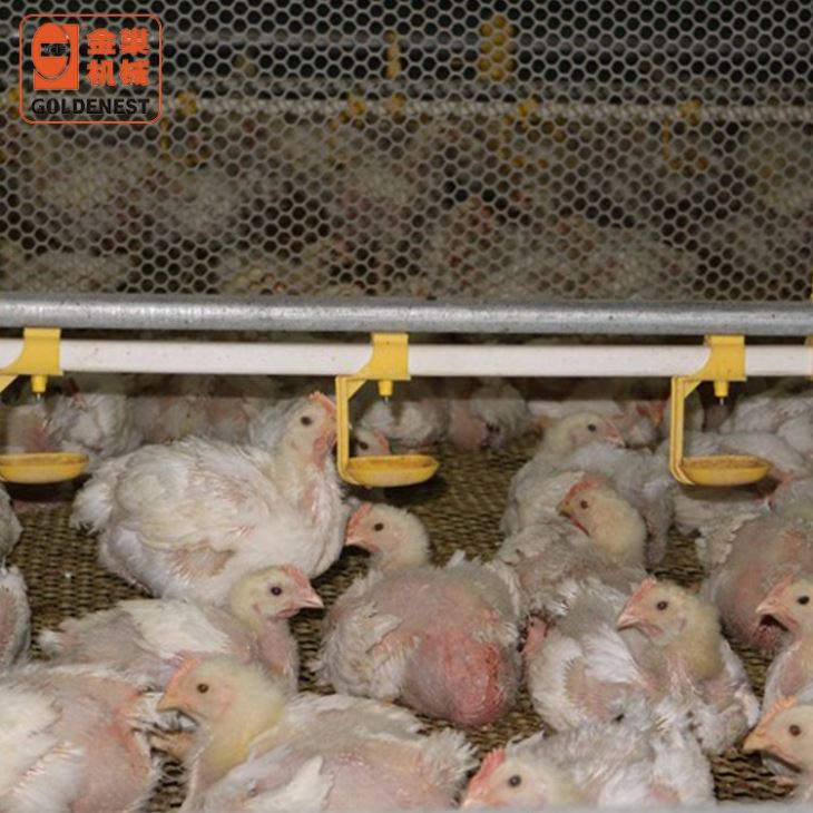 Broiler Automatic Nipple Drinking Line For Poultry Farming