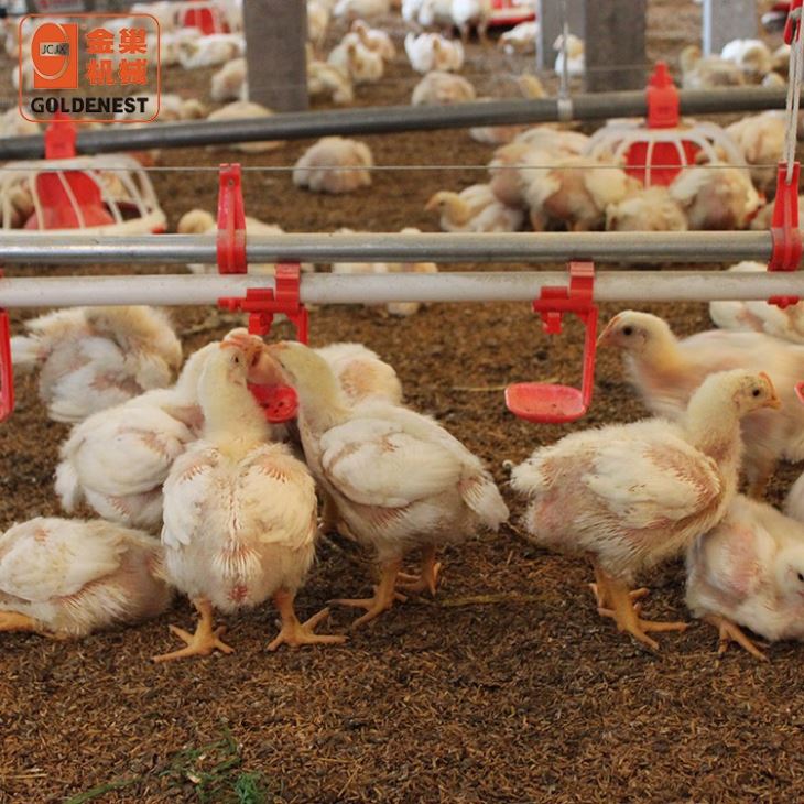 Broiler Automatic Nipple Drinking Line For Poultry Farming