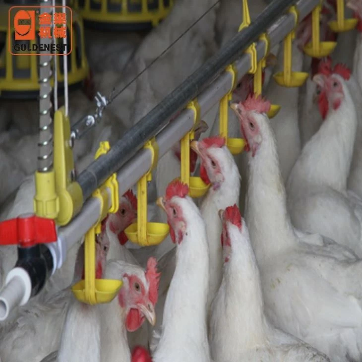 Broiler Automatic Nipple Drinking Line For Poultry Farming